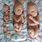 Серия "Прикосновение жизни" - 12, 20, 26, 30 недель