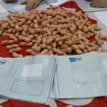 Завершилась акция «Эмбрионы в регионы – 2»